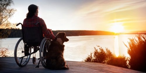 Person in wheelchair with dog watching sunset over lake